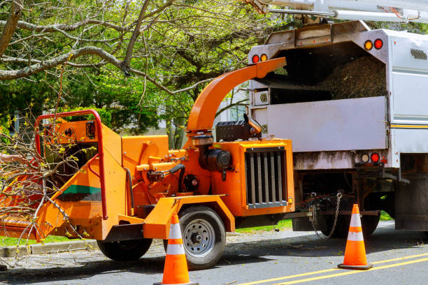 Best Emergency Tree Removal  in Galva, IL